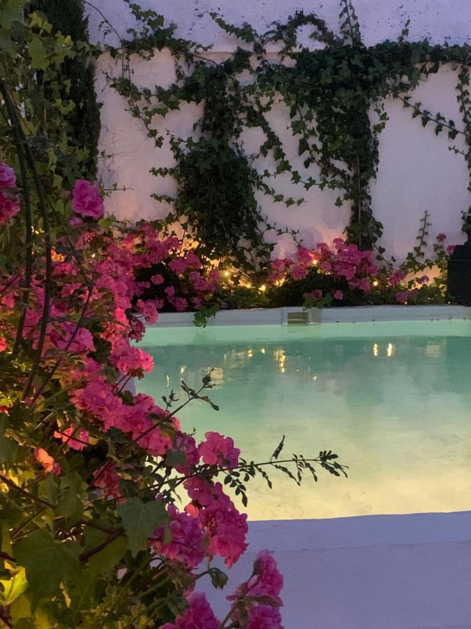 Patios Del Agua Bed and breakfast *