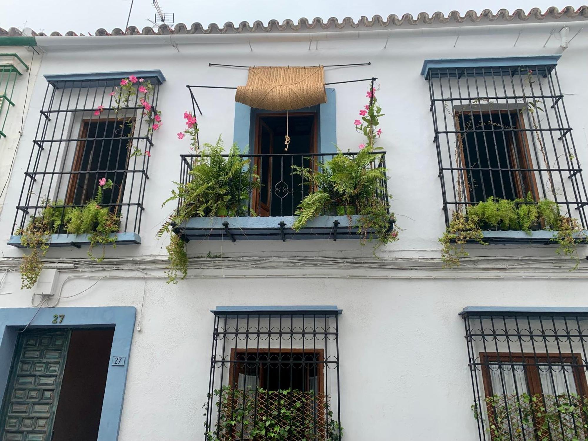 Patios Del Agua