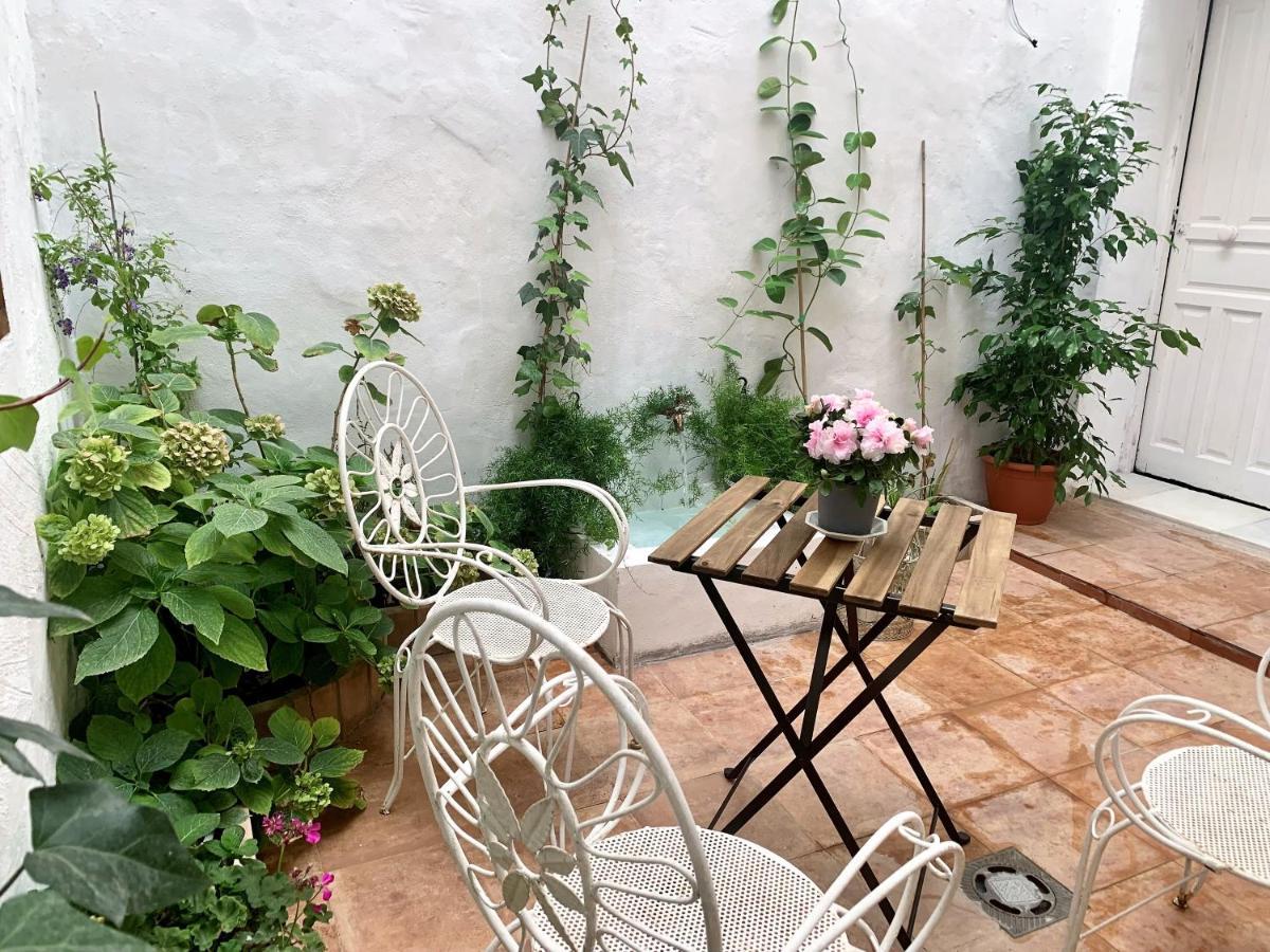 Bed and breakfast Patios Del Agua
