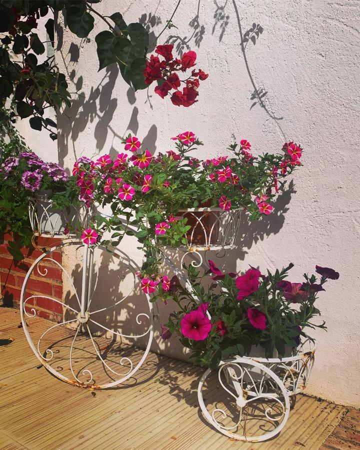 Patios Del Agua El Puerto de Santa María