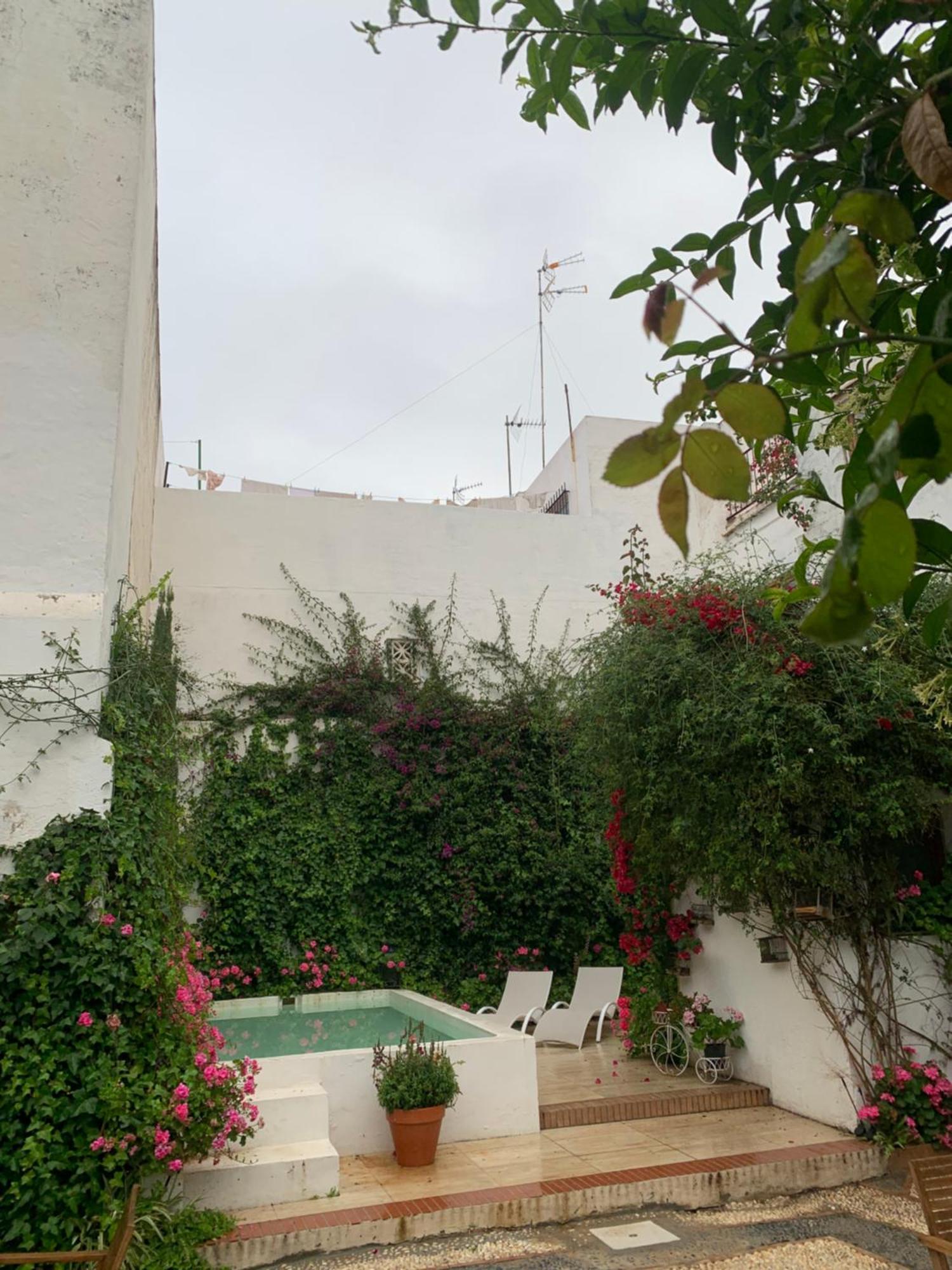 Patios Del Agua