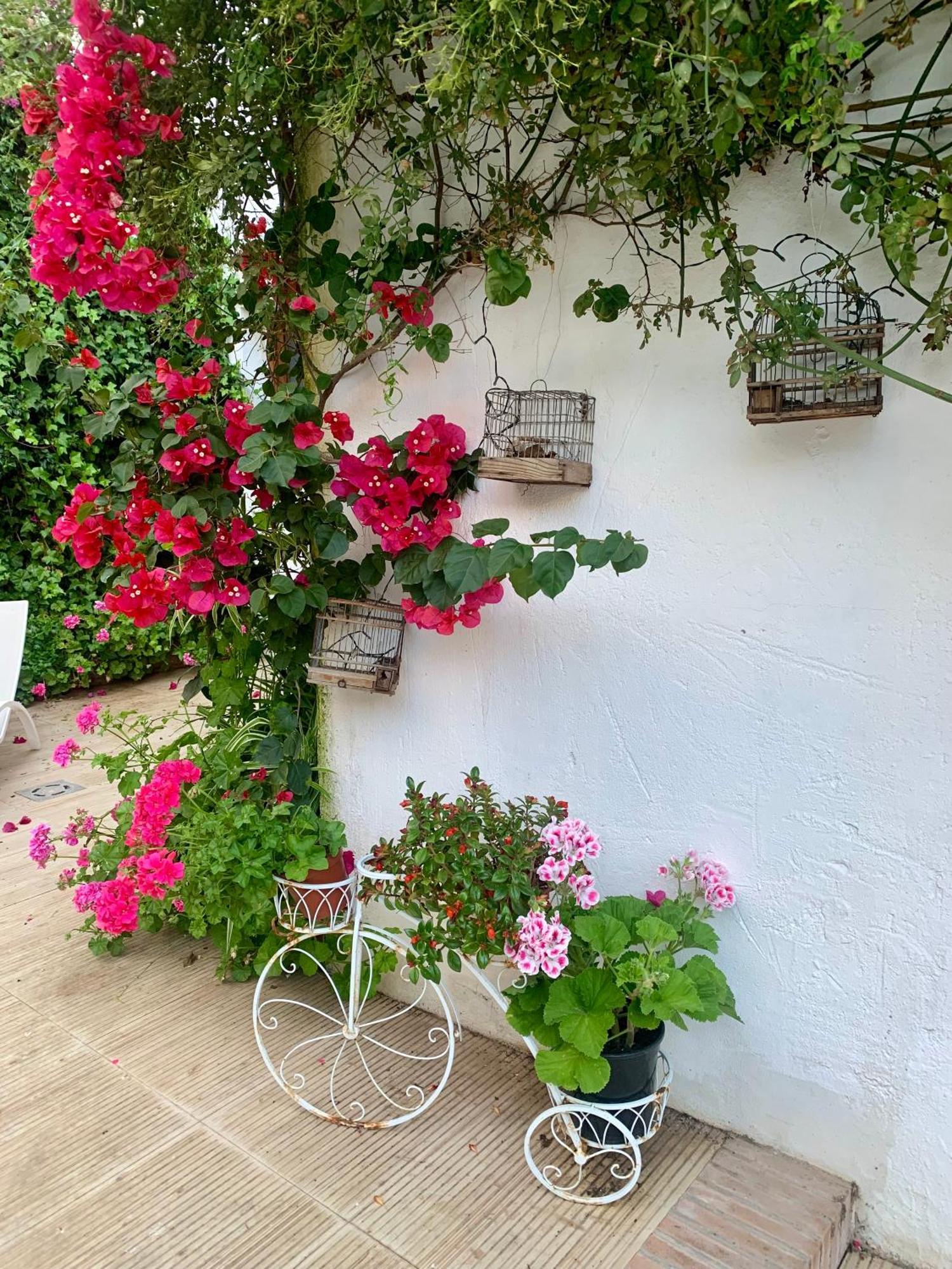 Bed and breakfast Patios Del Agua El Puerto de Santa María