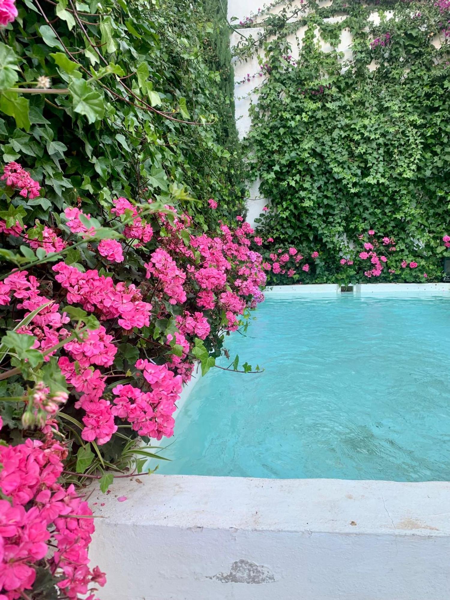 Bed and breakfast Patios Del Agua *